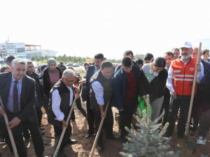 Kayseri’nin Denizi Ağaçlandırılıyor