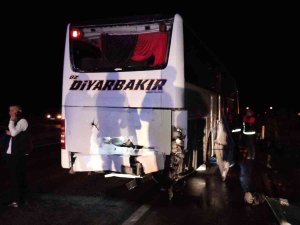 Yola Çıkan At Kazaya Neden Oldu, Bir Otomobil Ve İki Otobüsün Karıştığı Kazada 11 Kişi Yaralandı