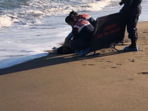 Giresun’da Sahilde Cesedi Bulunan Kişinin Kimliği Tespit Edildi