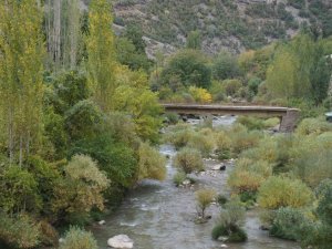 Sonbaharla Birlikte Şırnak Sarardı, Kartpostallık Görseller Oluştu