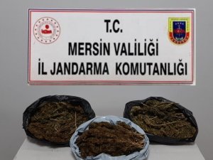 Mersin’de 10 Kilo 248 Gram Skunk Ele Geçirildi