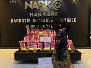 Hakkari’de 47 Kilo Uyuşturucu Ele Geçirildi