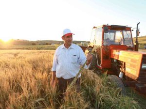 Elektrik Borcu Bulunan Çiftçiye Sıfır Faizli Kredi Müjdesi