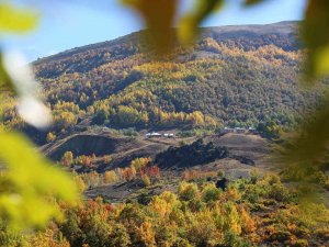Sonbahar Renklerine Bürünen Tunceli’de Doğa, Görsel Şölen Sunuyor