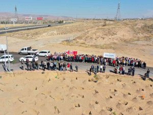 Büyükşehir’den Şehitler Anısına 251 Fidan