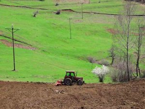 Ordu’da 18 Bin Dönüm Atıl Arazi Üretime Kazandırıldı
