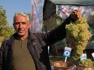 Elazığ’da Bağ Bozumu Etkinliği