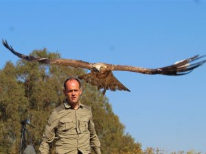 Balıkçıların Dikkati, Yılan Kartalını Kurtardı