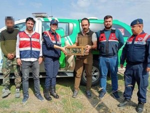 Ağ Düzeneğiyle Saka Kuşu Avlayan Şahsa 29 Bin 627 Lira Ceza Kesildi