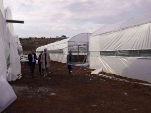Siverek’ten Mevsimlik Göç Seralarla Önlenecek