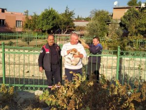Sulama Kanalına Düşen Yavru Köpeği İtfaiye Kurtardı