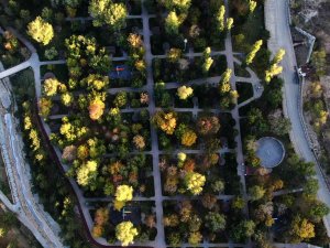 Renk Cümbüşünün Yaşandığı Paşabahçe’de Sonbahar Sessizliği