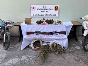 Ormanı Uyuşturucu Tarlasına Çevirmişler