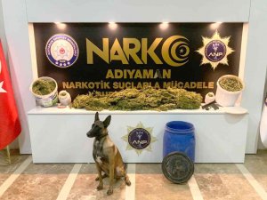 ‘Kendal’ Zehir Tacirlerinin Korkulu Rüyası Oldu