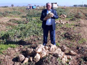 Şeker Pancarında Kalite Seferberliği