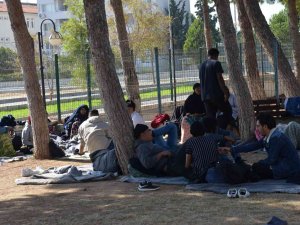 Didim’de 53 Düzensiz Göçmen Yakalandı
