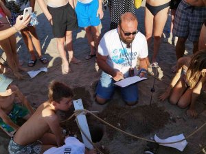 Belek’te Yaklaşık Bin 600 Deniz Kaplumbağası Yuvasından Çıkan 60 Binin Üzerinde Yavru Denizle Buluştu