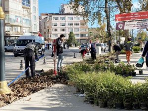 Sinop Meydanında Peyzaj Çalışmaları Sürüyor