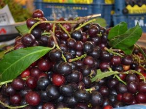 Karayemiş, Sinir Yatıştırıyor