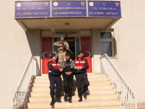 14 Yıl 11 Ay Hapis Cezası İle Aranan Hırsız Diyarbakır’da Yakalandı
