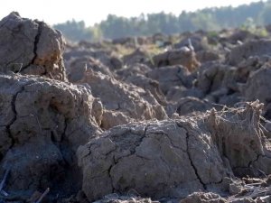 Korkutan Rapor Korkutan Görüntü: Kuraklık Toprağı Taş Gibi Yaptı, Çiftçi Ekim Yapamıyor