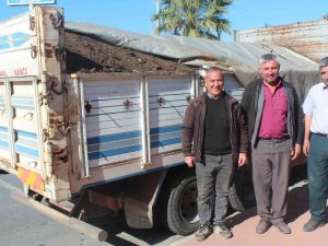 Üzüm Bağlarına Doğal Gübre