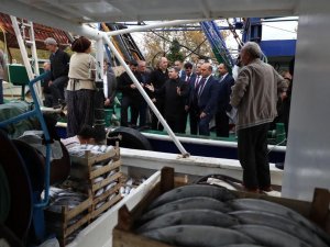 Vali Cevdet Atay Barınaklarda Balıkçıların Sorunlarını Dinledi