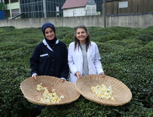 Türk çayının yeni tadı "çiçek çayı" raflarda yerini aldı