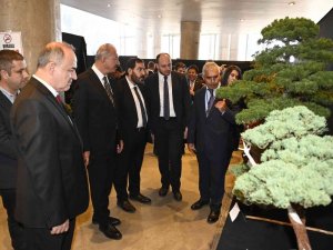 Türkiye’nin İlk Ulusal Bonsai Sergisi Yalova’da Açıldı