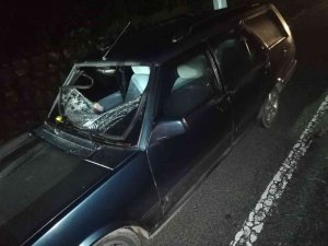 Ordu’da Otomobilin Çarptığı Yaya Hayatını Kaybetti