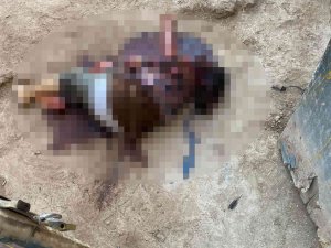 Mardin’de Bir Evde Kadın Cesedi Bulundu