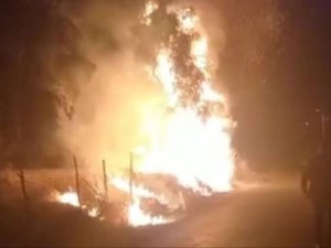 Zeytin Ağaçlarının Yakılmasının Ardından Nöbet Tutan Köylüler Rahat Bir Gece Geçirdi