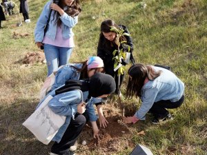 Mezun Oldukları Üniversitede Hatıra Ormanı Oluşturdular