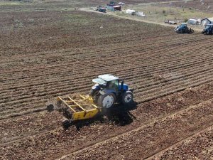 Tarımda Rekor Üstüne Rekor