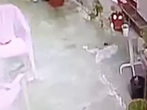 Sarıyer’de İlginç Hırsızlık Kamerada: Bahçedeki Nargile Takımını Çaldı