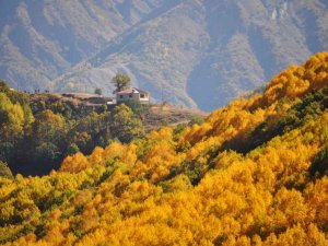 Tunceli’de Seyrine Doyulmaz Sonbahar Güzelliği