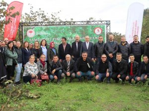 Samsun İ̇l Tarım Ve Orman Müdürlüğü Personeline Fındık Eğitimi