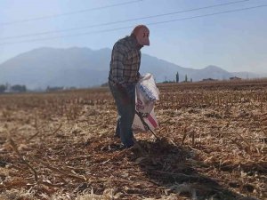 Tarlaları Karış Karış Dolaşıp Kısmetlerini Arıyorlar