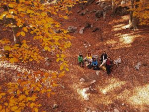 Yirce Kayın Ormanı Ziyaretçilerine Tablodaymış Hissi Yaşatıyor
