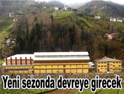 Organik Çay Ocak'ta piyasada