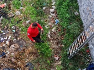 Derede Mahsur Kalan Yavru Kediyi İtfaiye Kurtardı