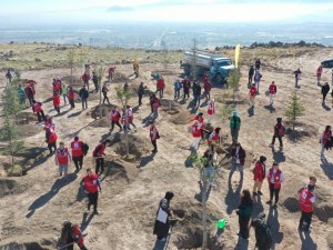 Kocasinan Belediyesi, Kızılay Haftası’nı Ağaçlarla Taçlandırdı