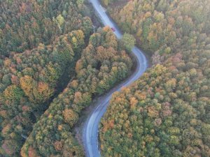Zonguldak Ormanlarında Sonbahar Güzelliği Havadan Görüntülendi