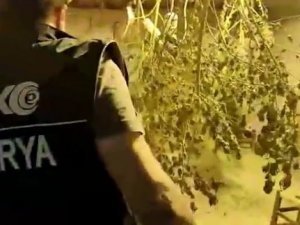Sakarya’da Uyuşturucuya Geçit Yok: 121 Şüpheli Yakalandı