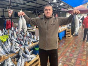 Palamut Hem Vatandaşı Hem Esnafı Memnun Etti