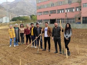 Batman’da Mereto Dağı Eteklerinde İlk Defa Aspir Bitkisi Yetiştirilecek