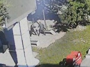 Tartışma Sonunda Yanında Oturan Kişiyi Bıçakladı