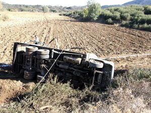 Kontrolden Çıkan Süt Kamyoneti Tarlaya Uçtu: 1 Yaralı