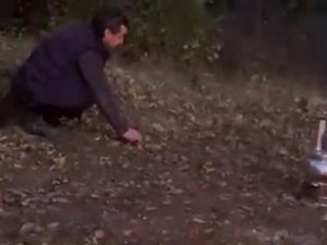 Piknik Yaptıkları Alana Gelen Tilkiyi Köfteyle Beslediler