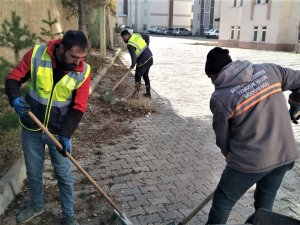 Bayburt’ta Sonbahar Temizliği
